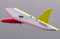 Das Modellflugzeug Reptor - ein Brettnurflügel für alle Zwecke.